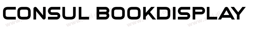 Consul BookDisplay字体转换